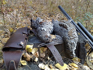 click for enlarge 1920 X 1440 695,6 Kb picture