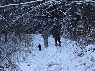click for enlarge 800 X 600 194,5 Kb picture