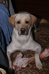 click for enlarge 404 X 604  42,8 Kb picture