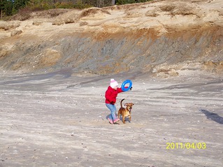 click for enlarge 1094 X 821 327,8 Kb picture