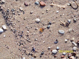 click for enlarge 1094 X 821 557,6 Kb picture