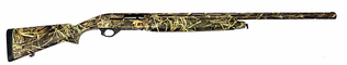 click for enlarge 700 X 133  26,5 Kb picture