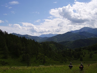 click for enlarge 800 X 600 148,0 Kb picture
