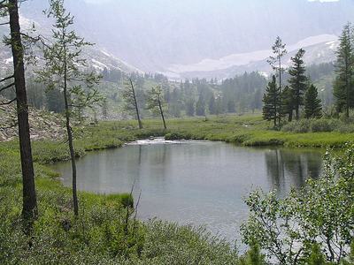 click for enlarge 800 X 600 119,6 Kb picture