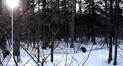 click for enlarge 633 X 339  92.9 Kb picture