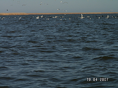 click for enlarge 1600 X 1200 898.5 Kb picture
