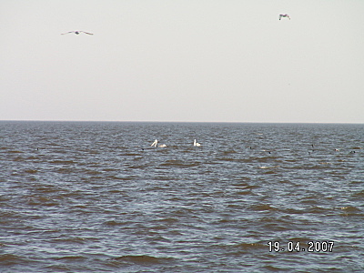 click for enlarge 1600 X 1200 770.2 Kb picture