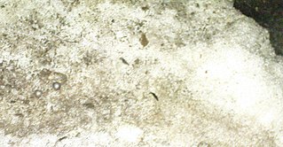 click for enlarge 1642 X 855 369,8 Kb picture