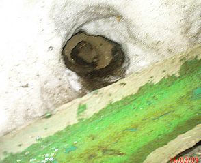 click for enlarge 1709 X 1391 454,9 Kb picture