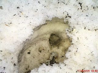 click for enlarge 1920 X 1440 297,6 Kb picture