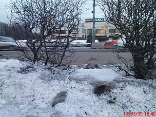 click for enlarge 1920 X 1440 534,0 Kb picture