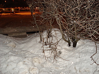 click for enlarge 640 X 480 143,6 Kb picture