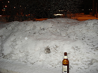 click for enlarge 640 X 480 148,3 Kb picture