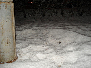 click for enlarge 640 X 480 128,9 Kb picture