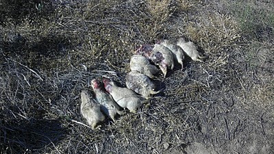 �������, ��� �� ��������� �������� �� 1920 X 1080 747.6 Kb