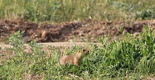 �������, ��� �� ��������� �������� �� 1149 X 592 110.8 Kb