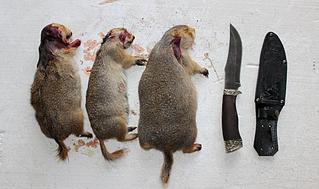 �������, ��� �� ��������� �������� �� 988 X 585 76.5 Kb