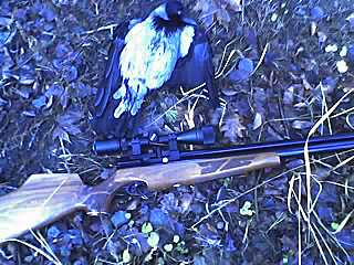 click for enlarge 640 X 480  56,8 Kb picture