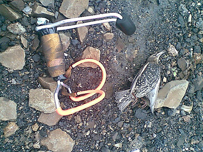 click for enlarge 640 X 480 161,3 Kb picture