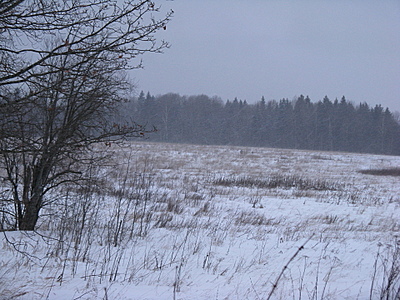 click for enlarge 1920 X 1440 315,6 Kb picture