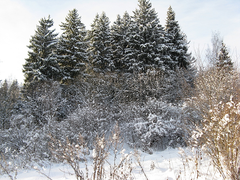 click for enlarge 1920 X 1440 562,4 Kb picture