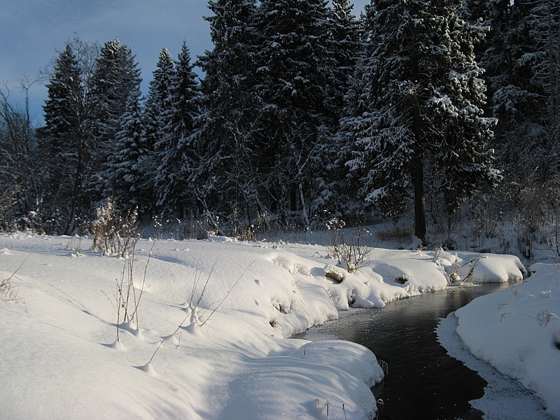click for enlarge 1920 X 1440 293,2 Kb picture