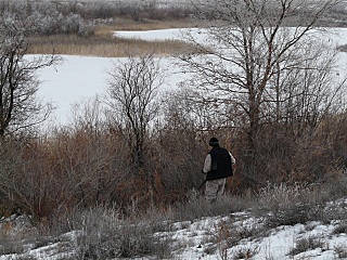 click for enlarge 640 X 480 164,4 Kb picture