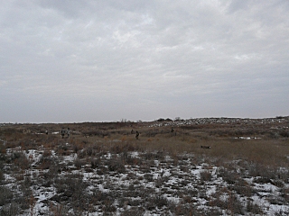 click for enlarge 640 X 480 178,4 Kb picture
