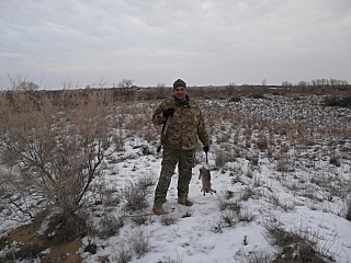 click for enlarge 640 X 480 218,5 Kb picture