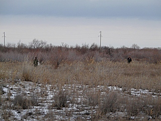 click for enlarge 640 X 480 149,8 Kb picture