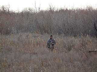 click for enlarge 640 X 480 164,6 Kb picture