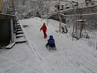 click for enlarge 640 X 480 220,6 Kb picture