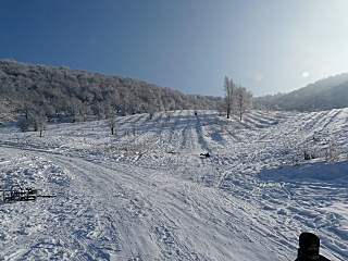 click for enlarge 640 X 480 192,9 Kb picture