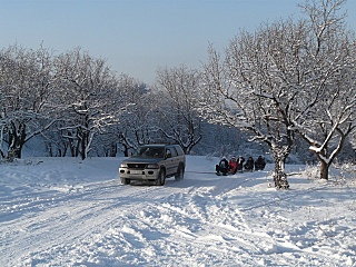 click for enlarge 640 X 480 183,8 Kb picture