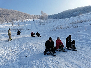 click for enlarge 640 X 480 236,0 Kb picture