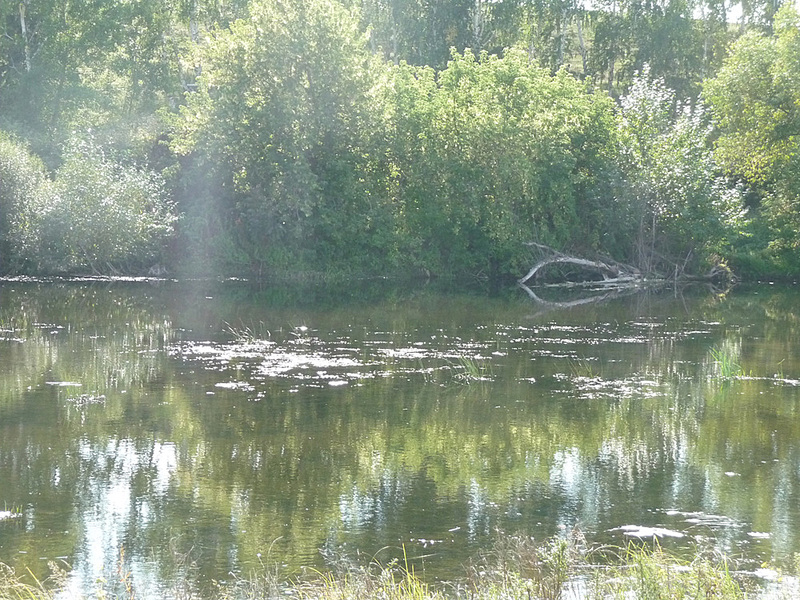 click for enlarge 1000 X 750 387,1 Kb picture