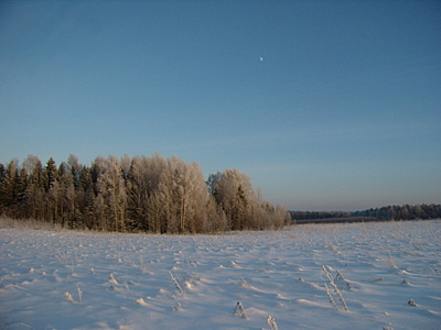click for enlarge 1920 X 1440 708,2 Kb picture