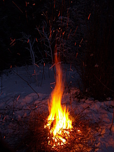click for enlarge 1920 X 2560 244,9 Kb picture