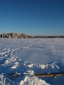 click for enlarge 1920 X 2560 307,6 Kb picture