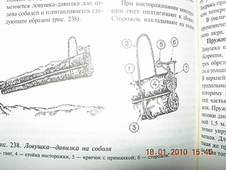 click for enlarge 804 X 603 154,5 Kb picture