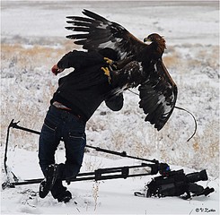 click for enlarge 750 X 734 122,2 Kb picture