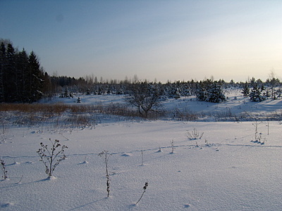 click for enlarge 1920 X 1440 745,3 Kb picture