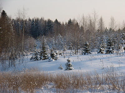click for enlarge 1920 X 1440 781,6 Kb picture