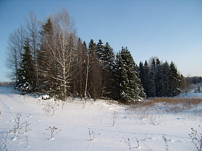 click for enlarge 1920 X 1440 714,2 Kb picture
