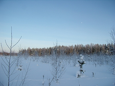 click for enlarge 1920 X 1440 688,4 Kb picture