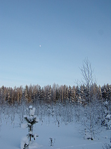 click for enlarge 1920 X 2560 289,3 Kb picture