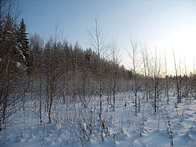 click for enlarge 1920 X 1440 778,2 Kb picture