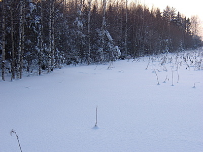 click for enlarge 1920 X 1440 749,2 Kb picture