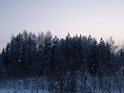 click for enlarge 1920 X 1440 680,9 Kb picture