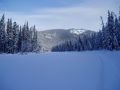 click for enlarge 1000 X 750 155,9 Kb picture